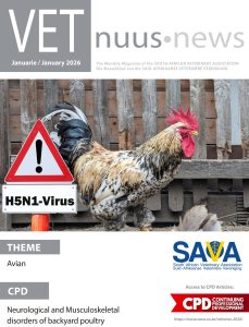 VN-Cover-January-2026-scaled-e1779869071107